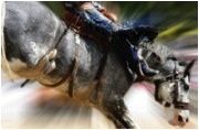 Ravalli County Rodeo